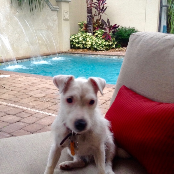 Meet your Posher, Joelle - Picture 6 of 7